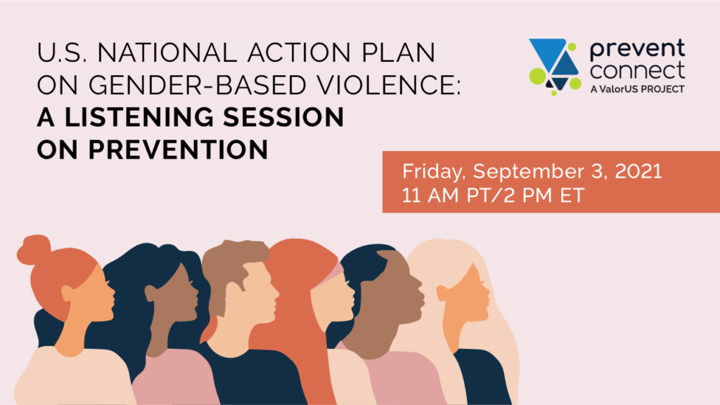 Summary Of “U.S. National Action Plan On Gender-Based Violence: A ...